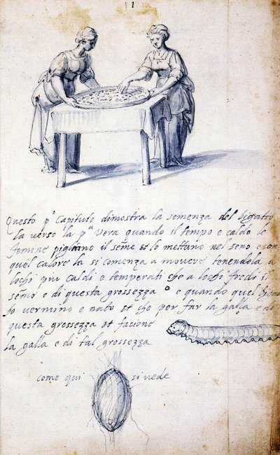 Treatise on Silk Culture and Manufacture (Series of Thirteen Drawings, No. 1) by Giuseppe Arcimboldo